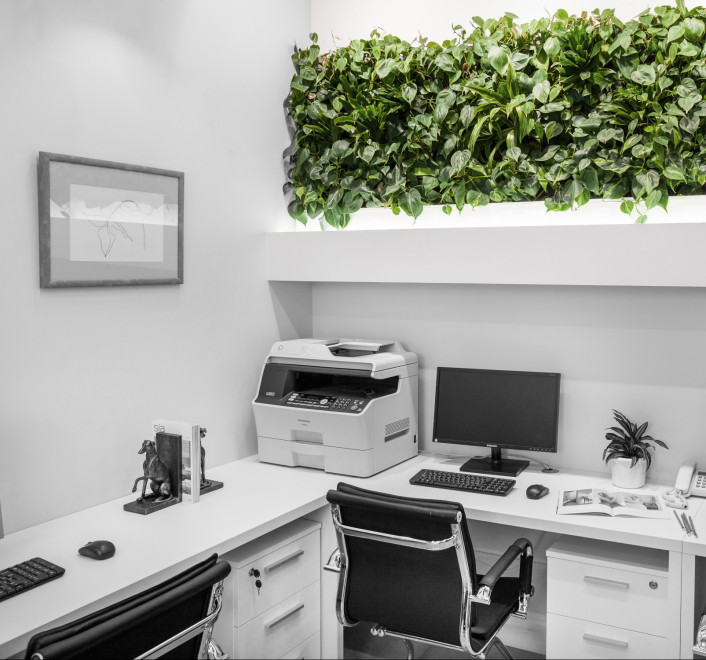 skaredova office