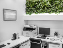 skaredova office